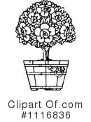 Plant Clipart #1116836 by Prawny Vintage