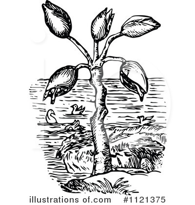 Royalty-Free (RF) Plant Clipart Illustration by Prawny Vintage - Stock Sample #1121375