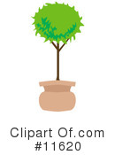 Plant Clipart #11620 by AtStockIllustration