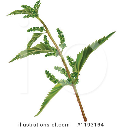 Royalty-Free (RF) Plant Clipart Illustration by dero - Stock Sample #1193164