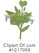 Plant Clipart #1217056 by dero