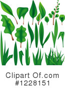 Plant Clipart #1228151 by dero