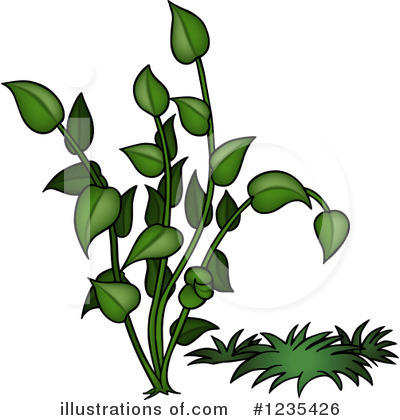 Royalty-Free (RF) Plant Clipart Illustration by dero - Stock Sample #1235426