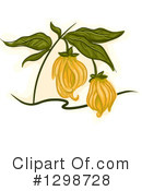Plant Clipart #1298728 by BNP Design Studio