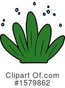 Plant Clipart #1579862 by lineartestpilot
