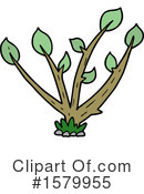 Plant Clipart #1579955 by lineartestpilot