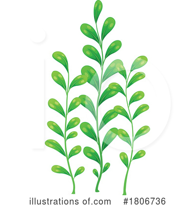 Royalty-Free (RF) Plant Clipart Illustration by Vector Tradition SM - Stock Sample #1806736