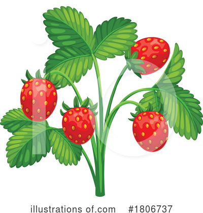 Berries Clipart #1806737 by Vector Tradition SM