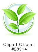 Plant Clipart #28914 by beboy