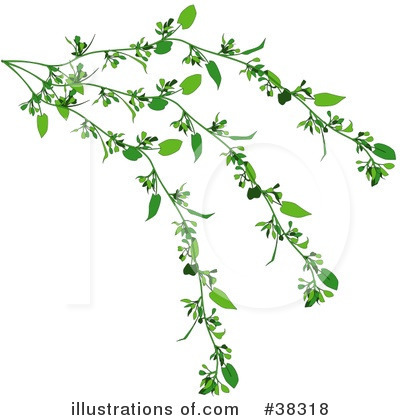 Royalty-Free (RF) Plant Clipart Illustration by dero - Stock Sample #38318