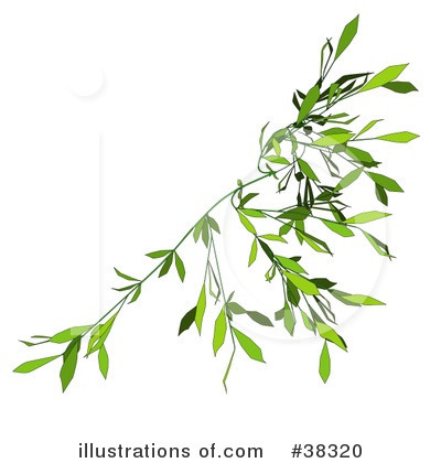 Royalty-Free (RF) Plant Clipart Illustration by dero - Stock Sample #38320