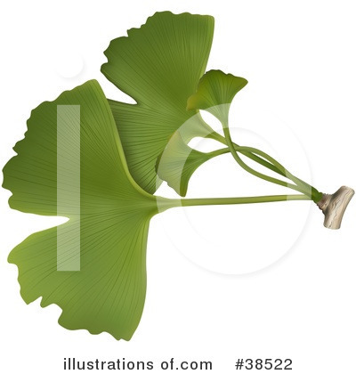 Leaves Clipart #38522 by dero