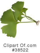 Plant Clipart #38522 by dero