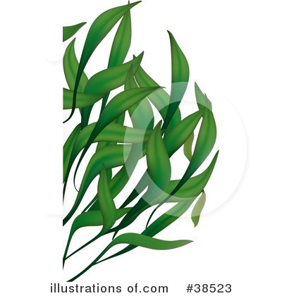 Royalty-Free (RF) Plant Clipart Illustration by dero - Stock Sample #38523