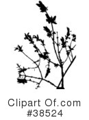 Plant Clipart #38524 by dero