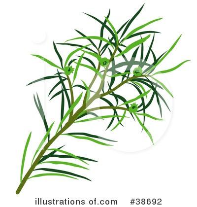 Branches Clipart #38692 by dero