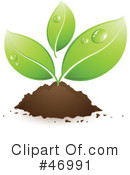 Plant Clipart #46991 by beboy