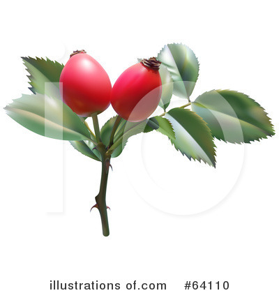 Royalty-Free (RF) Plant Clipart Illustration by dero - Stock Sample #64110