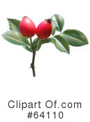 Plant Clipart #64110 by dero