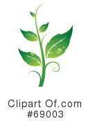 Plant Clipart #69003 by beboy