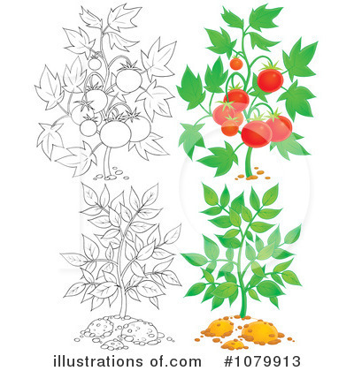 Royalty-Free (RF) Plants Clipart Illustration by Alex Bannykh - Stock Sample #1079913