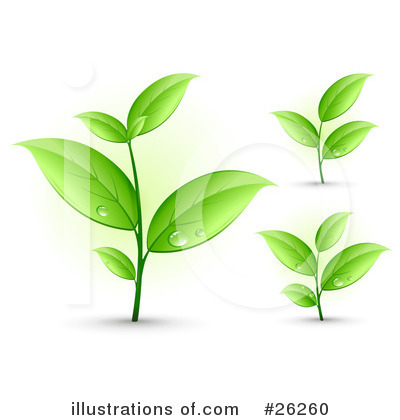 Royalty-Free (RF) Plants Clipart Illustration by beboy - Stock Sample #26260