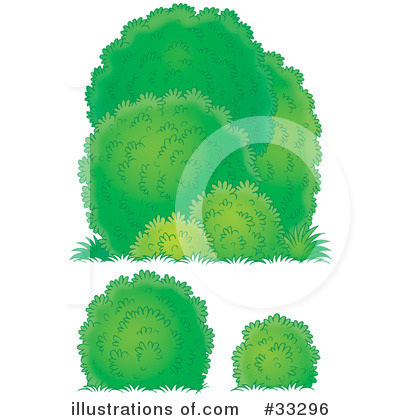 Bush Clipart #33296 by Alex Bannykh