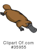 Platypus Clipart #35955 by Dennis Holmes Designs