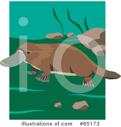 Royalty-Free (RF) Platypus Clipart Illustration by Dennis Holmes Designs - Stock Sample #65173