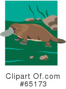 Platypus Clipart #65173 by Dennis Holmes Designs