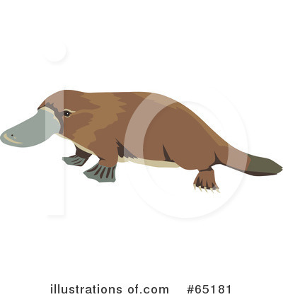 Royalty-Free (RF) Platypus Clipart Illustration by Dennis Holmes Designs - Stock Sample #65181