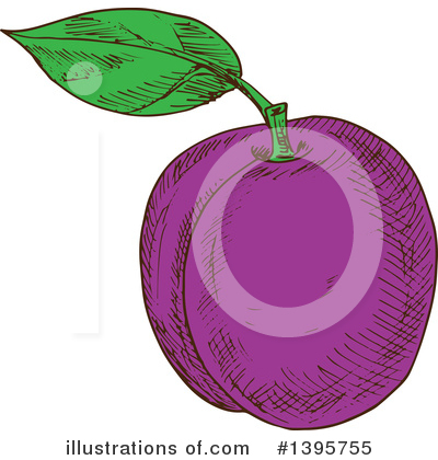 Royalty-Free (RF) Plum Clipart Illustration by Vector Tradition SM - Stock Sample #1395755