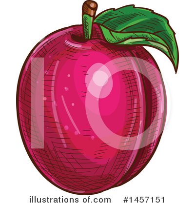 Royalty-Free (RF) Plum Clipart Illustration by Vector Tradition SM - Stock Sample #1457151