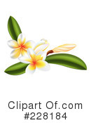 Plumeria Clipart #228184 by AtStockIllustration