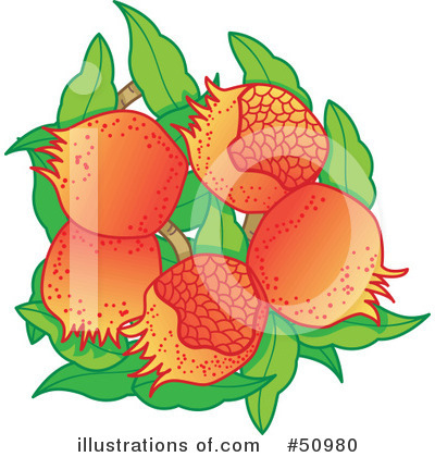 Fruit Clipart #50980 by Cherie Reve