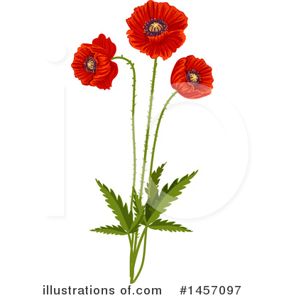 Royalty-Free (RF) Poppy Clipart Illustration by Vector Tradition SM - Stock Sample #1457097