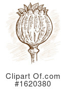 Poppy Clipart #1620380 by Domenico Condello