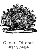 Porcupine Clipart #1197484 by Prawny Vintage