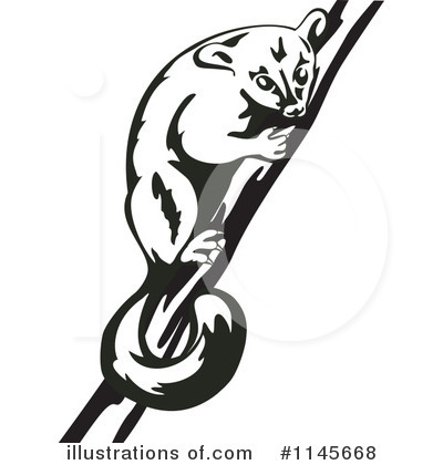 Royalty-Free (RF) Possum Clipart Illustration by patrimonio - Stock Sample #1145668