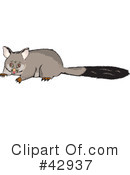 Possum Clipart #42937 by Dennis Holmes Designs