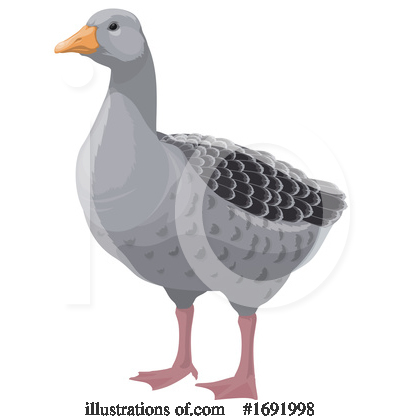 Royalty-Free (RF) Poultry Clipart Illustration by Vector Tradition SM - Stock Sample #1691998