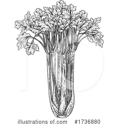 Celery Clipart #1736880 by AtStockIllustration
