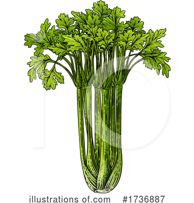 Celery Clipart #1736887 by AtStockIllustration