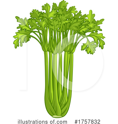 Celery Clipart #1757832 by AtStockIllustration