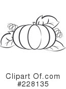 Pumpkin Clipart #228135 by Lal Perera