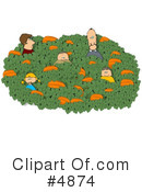 Pumpkin Clipart #4874 by djart