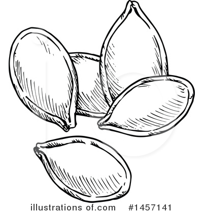 Pumpkin Seed Clipart #1457141 by Vector Tradition SM