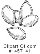 Pumpkin Seeds Clipart #1457141 by Vector Tradition SM