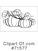 Pumpkins Clipart #71577 by Lal Perera