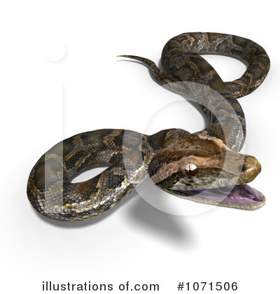 Clipart Python